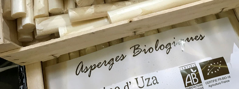 asperge-blanche-des-landes-bio-2.png